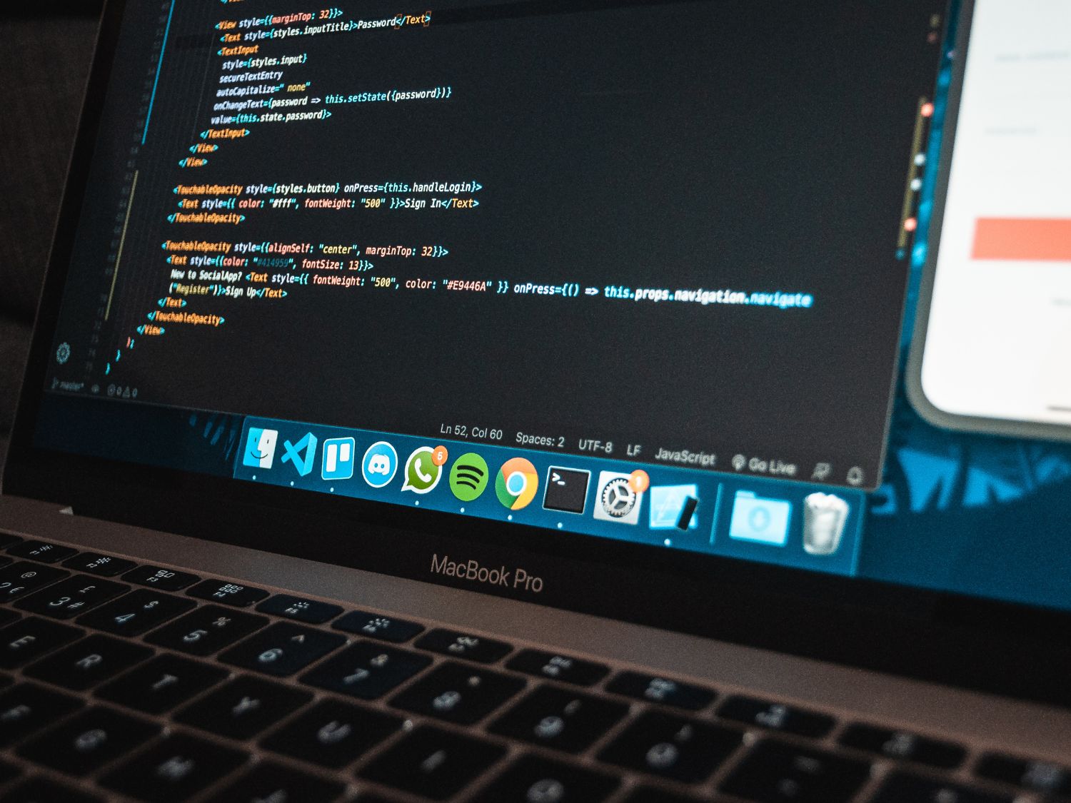 Website Design in Pinellas Park