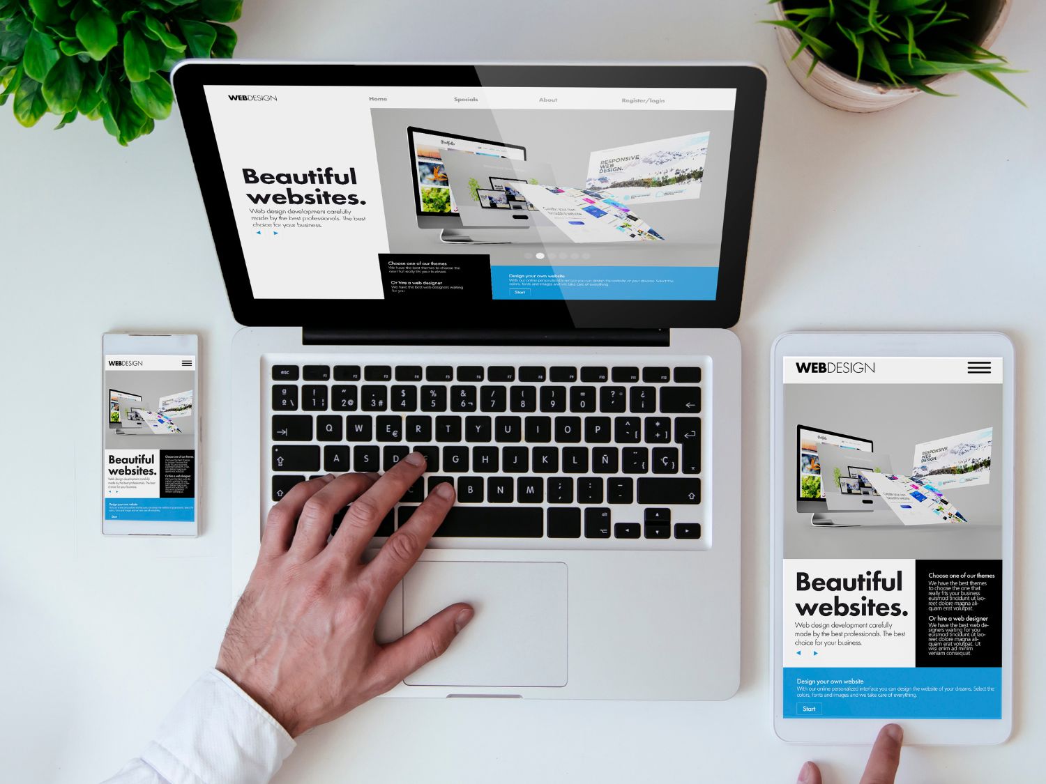 Website Design in Pinellas Park